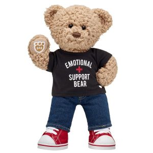 Timeless Teddy Bear 