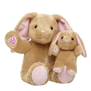 Pawlette™ Bunny Plush & Build-A-Bear Mini Beans® Gift Set